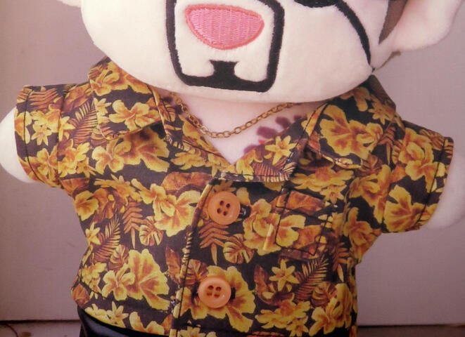 Pirate shirt close Pirate shirt close