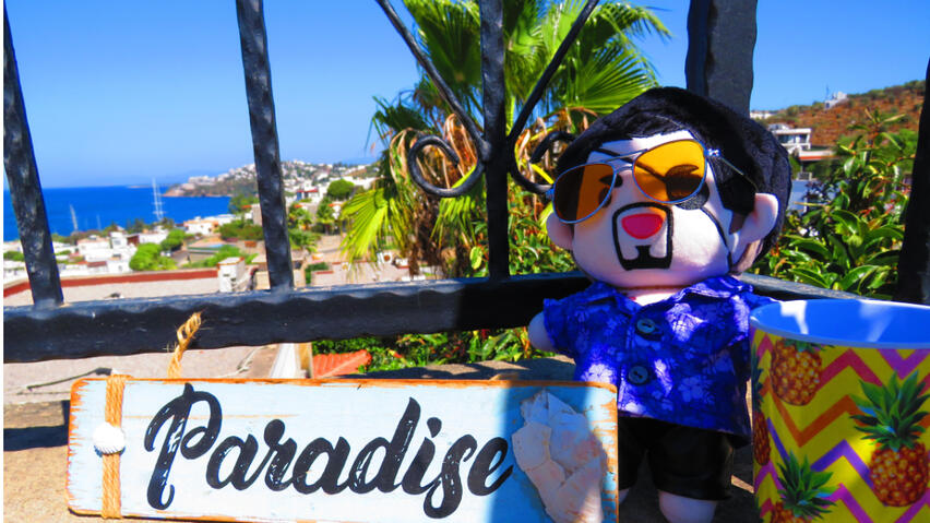 Eric Tomizawa's shirt for 20cm plush dolls