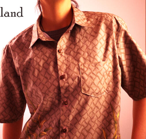 Image of formal shirt